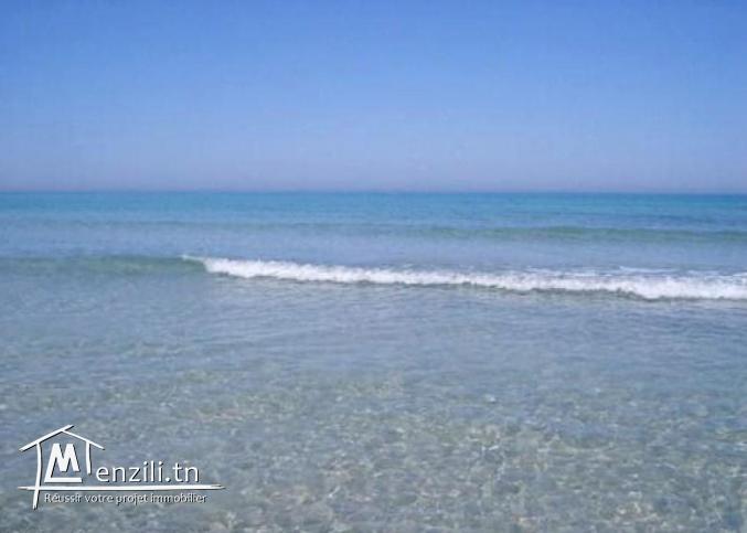 terrain à vendre pieds dans l'eau avec prix raisonnable