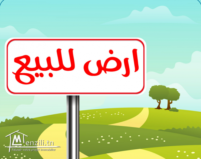 أرض للبيع تبعد 10 دق على قليبية