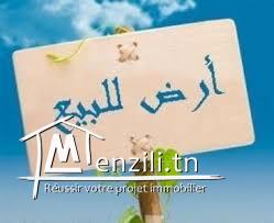 Terrain pour habitation à vendre - Opportunité à saisir