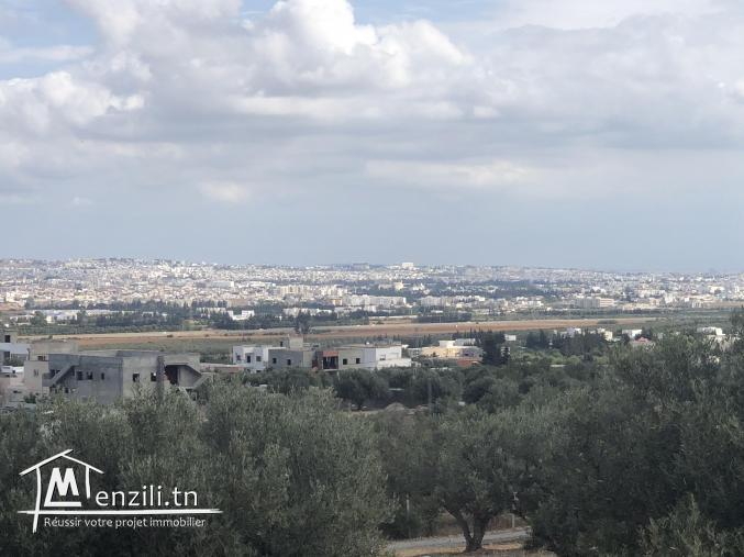 Terrain vide à Sanheja