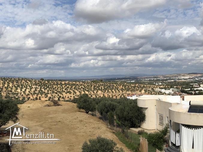 Terrain vide à Sanheja