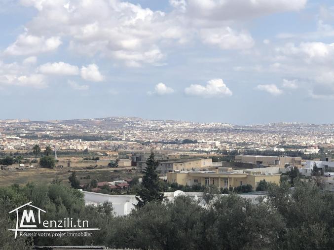 Terrain vide à Sanheja