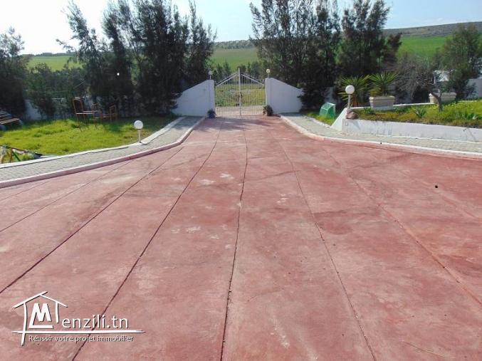 Centre  Animation et Loisirs