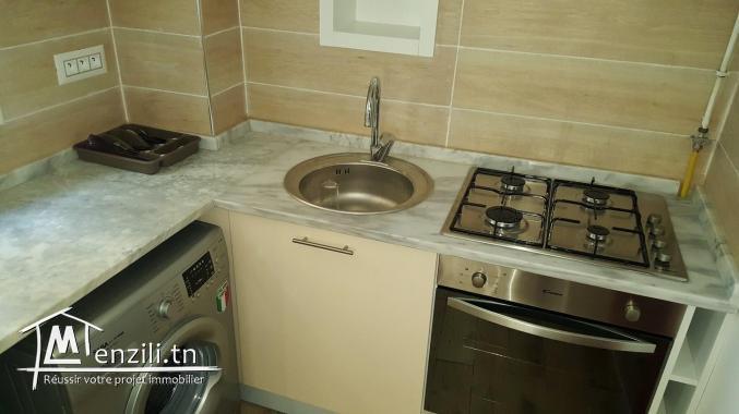 Coquet appartement meublé avec jardin