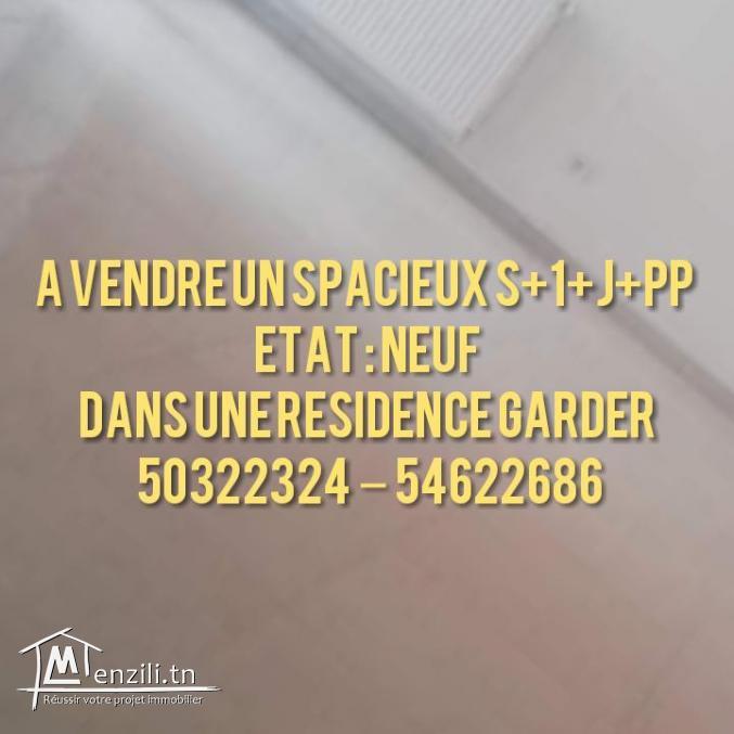 A vendre S +1 avec jardin
