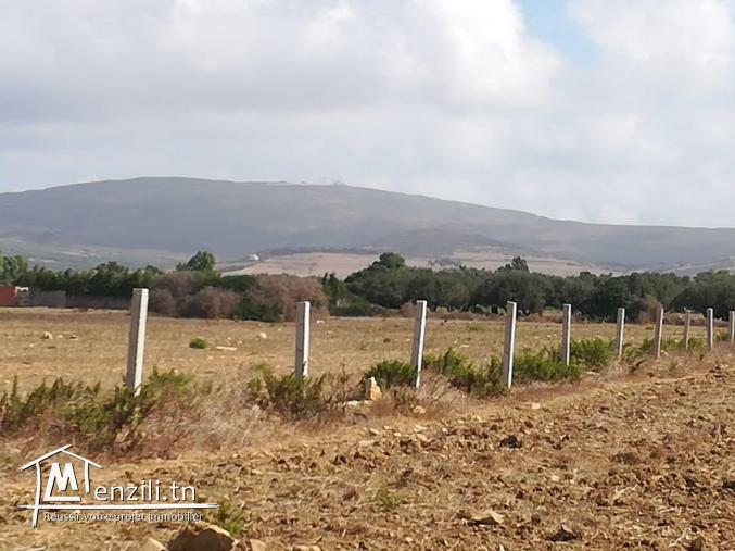 سانية فيها 5250 م2 صالحة لجميع الزراعات خاصة الزيتون