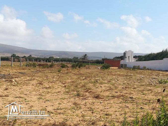 سانية فيها 5250 م2 صالحة لجميع الزراعات خاصة الزيتون