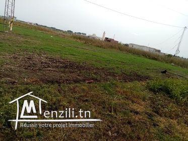 un superbe terrain de 1000 m²