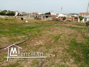 un superbe terrain de 1000 m²