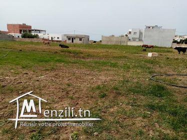 un superbe terrain de 1000 m²