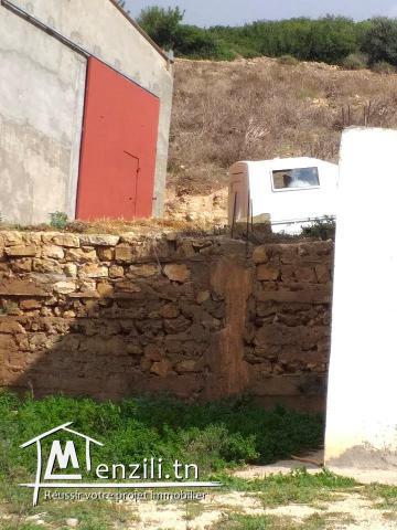 A vendre terrain agricole Bizerte Mateur Superficie: 44hectares