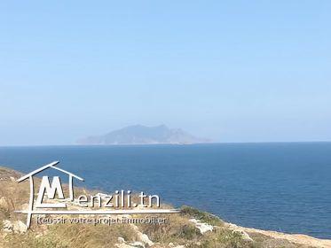 A vendre a El haouaria proche de la maison D hôte Dar Damian