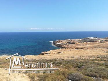 A vendre a El haouaria proche de la maison D hôte Dar Damian