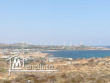 A vendre a El haouaria proche de la maison D hôte Dar Damian