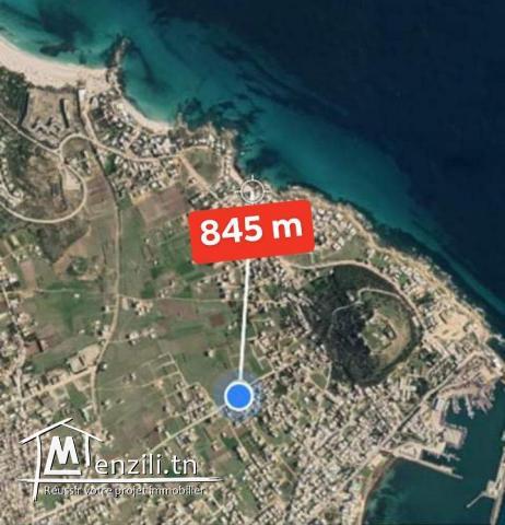 TERRAIN A VENDRE A KELIBIA 383 m²
