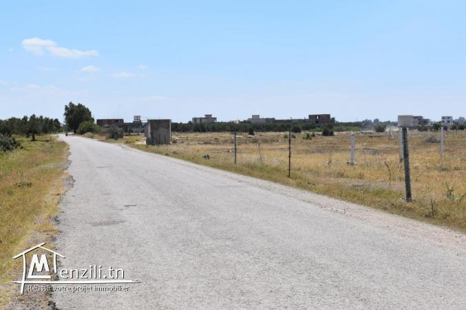 terrain à hammamet avec facilité de paiement