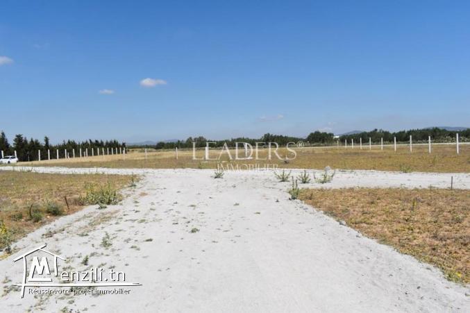 terrain à hammamet avec facilité de paiement