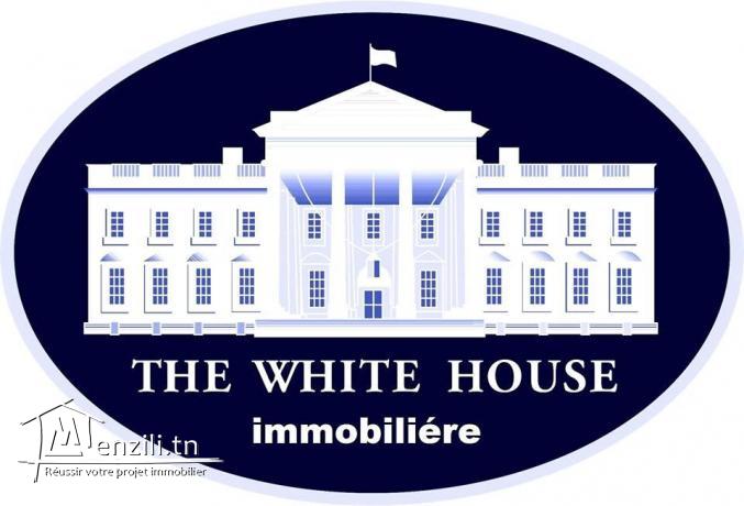 appartement s+2 luxueux et moderne