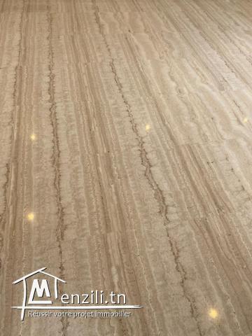 S+1 Haut Standing Jardin de Carthage