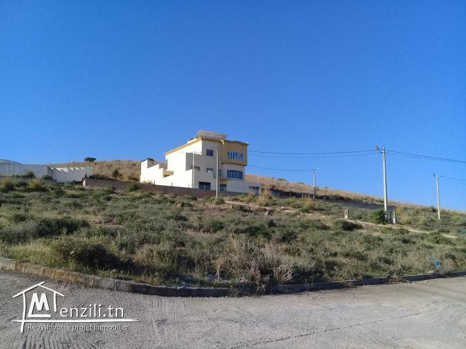 Vente de terrain à Sidi thèbet
