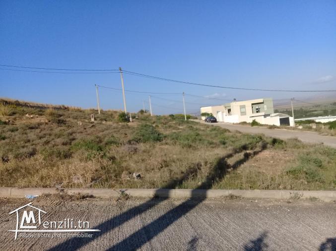 Vente de terrain à Sidi thèbet