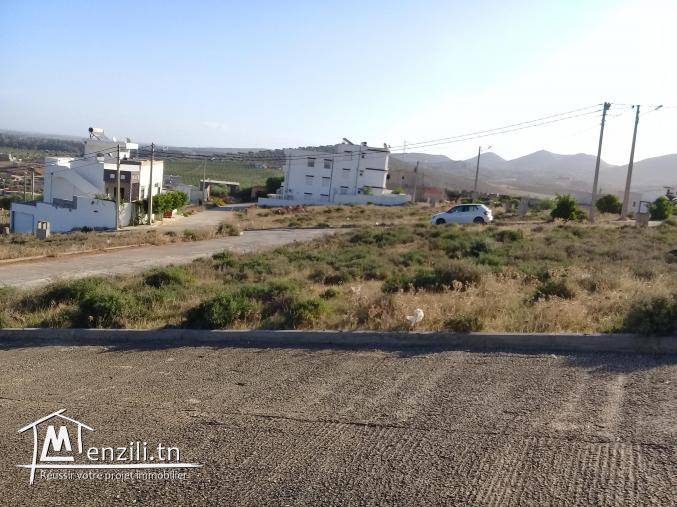 Vente de terrain à Sidi thèbet