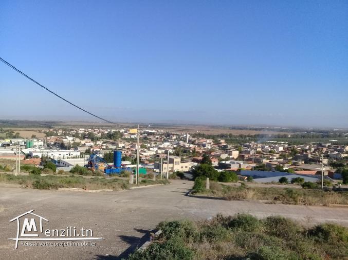 Vente de terrain à Sidi thèbet