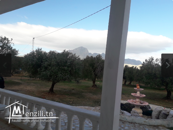 Maison de campagne 120m2 + Terrain 1500m2 + 21 oliviers - titre bleu - Randonnée