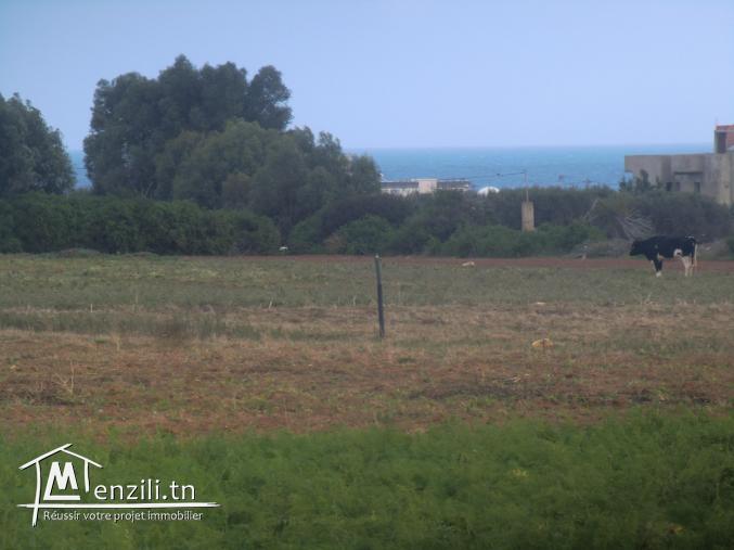 1000m² a vendre vu de mer