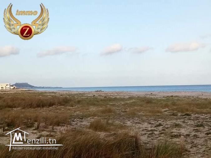 vendre un terrain de 9 hectares