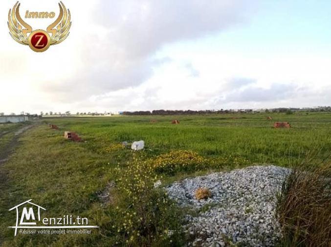 vendre un terrain de 9 hectares