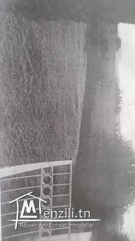 A vendre terrain avec bonne orientation à la Soukra