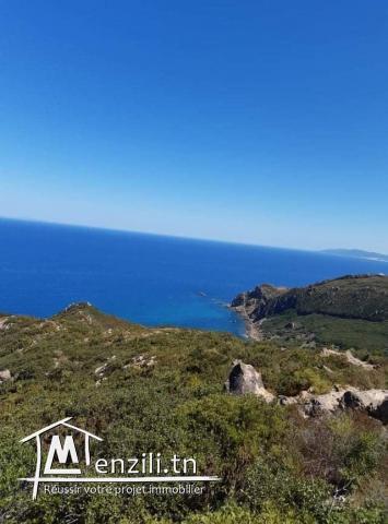 A vendre terrain vue sur mer a Tabarka
