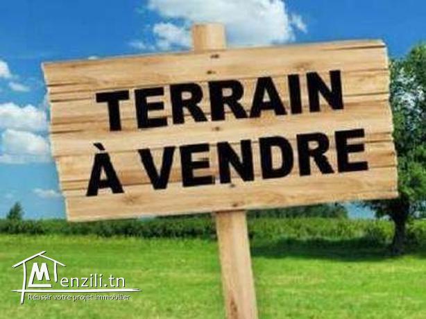 Des beaux terrains en promotions à yassmine hammamet