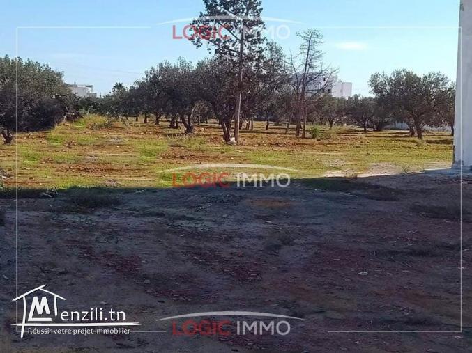 Terrain a YASMINE HAMMAMET 27 485 320