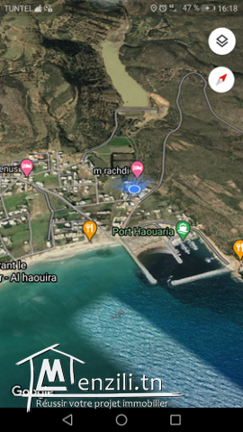 e Superbe Terrain a chat el Haouaria