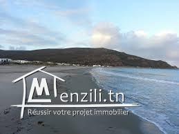 e Superbe Terrain a chat el Haouaria