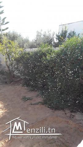 فيلا مع حديقة كبيرة