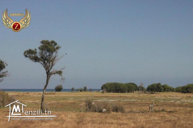 vendre un terrain sidi mansour kélibia vue sur la mer