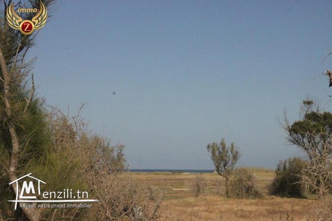 vendre un terrain sidi mansour kélibia vue sur la mer