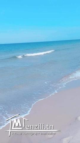 terrain kélibia 3in grinz 55002405