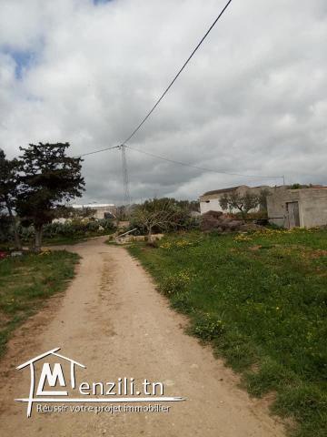 terrain kélibia 3in grinz 55002405