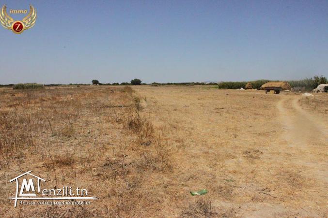 terrain sidi mathkour kélibia