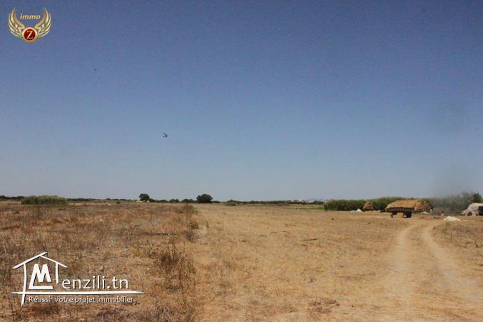 terrain sidi mathkour kélibia