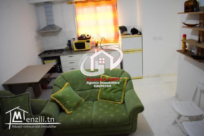 A VENDRE APPARTEMENT S+1 EN PLEIN ZONE TOURISTIQUE