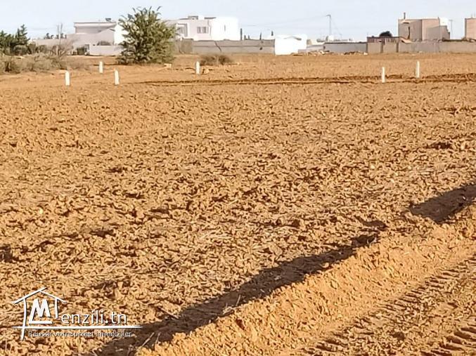 lot de terrain de 200 m2 à vendre 