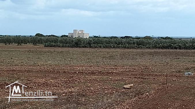 Possibilité de facilité de paiement sur 6 MOIS