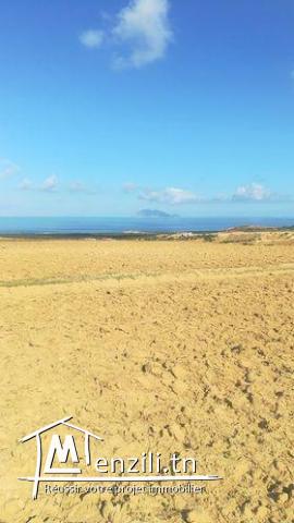 Une Terrain prêt a bâtir situé dans une zone résidentiel a Bir Ijadi