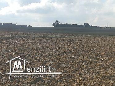 Une Terrain prêt a bâtir situé dans une zone résidentiel a Bir Ijadi