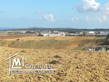 Une Terrain prêt a bâtir situé dans une zone résidentiel a Bir Ijadi